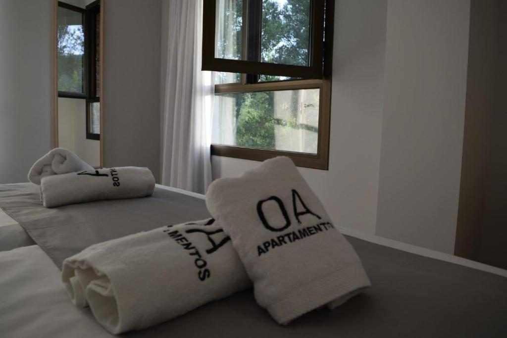 Apartamentos Ordesa 艾因萨 客房 照片