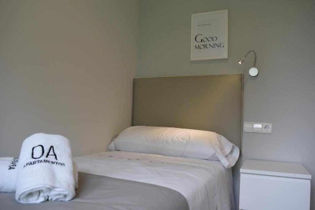 Apartamentos Ordesa 艾因萨 客房 照片